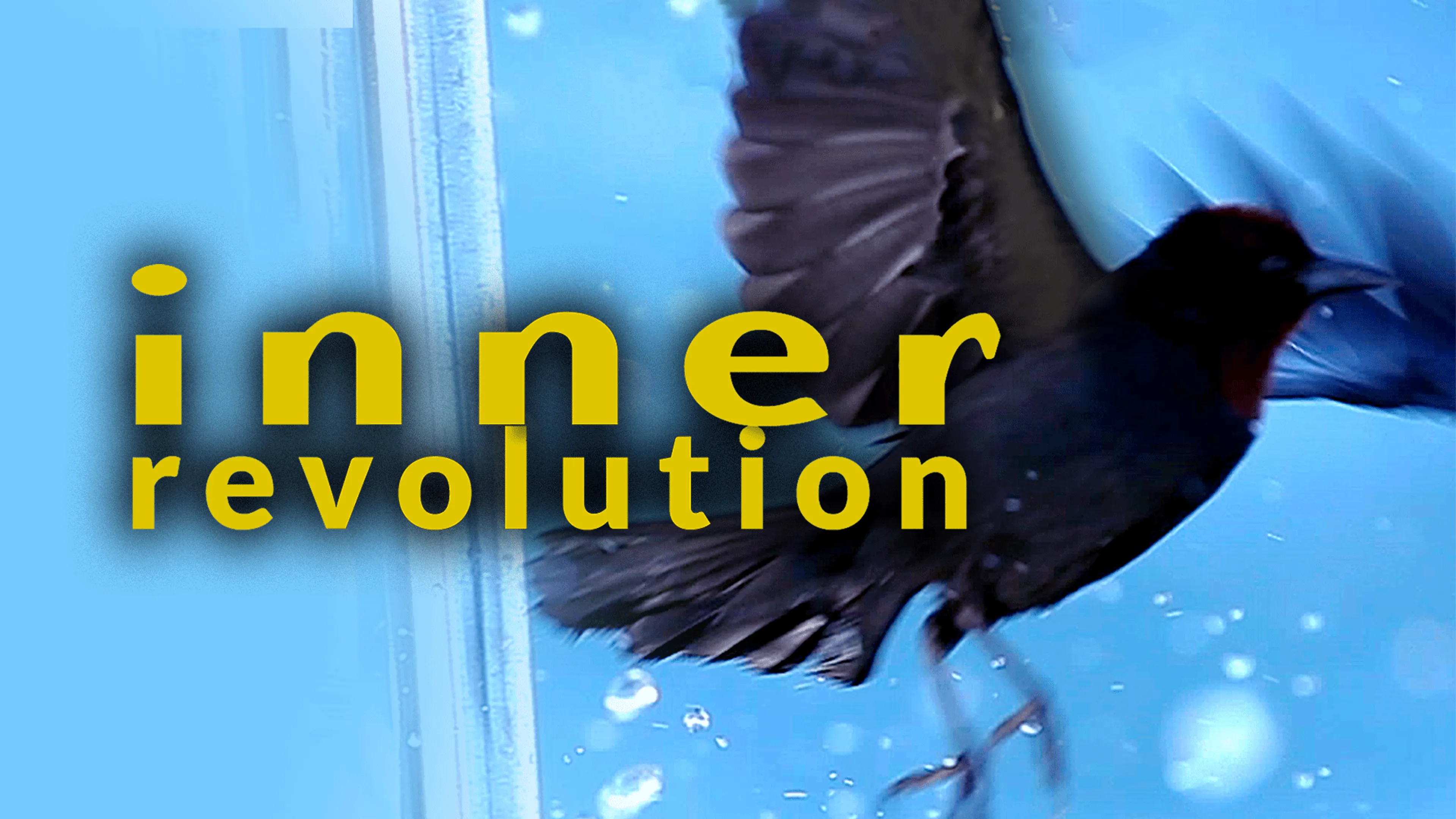 Inner Revolution poster